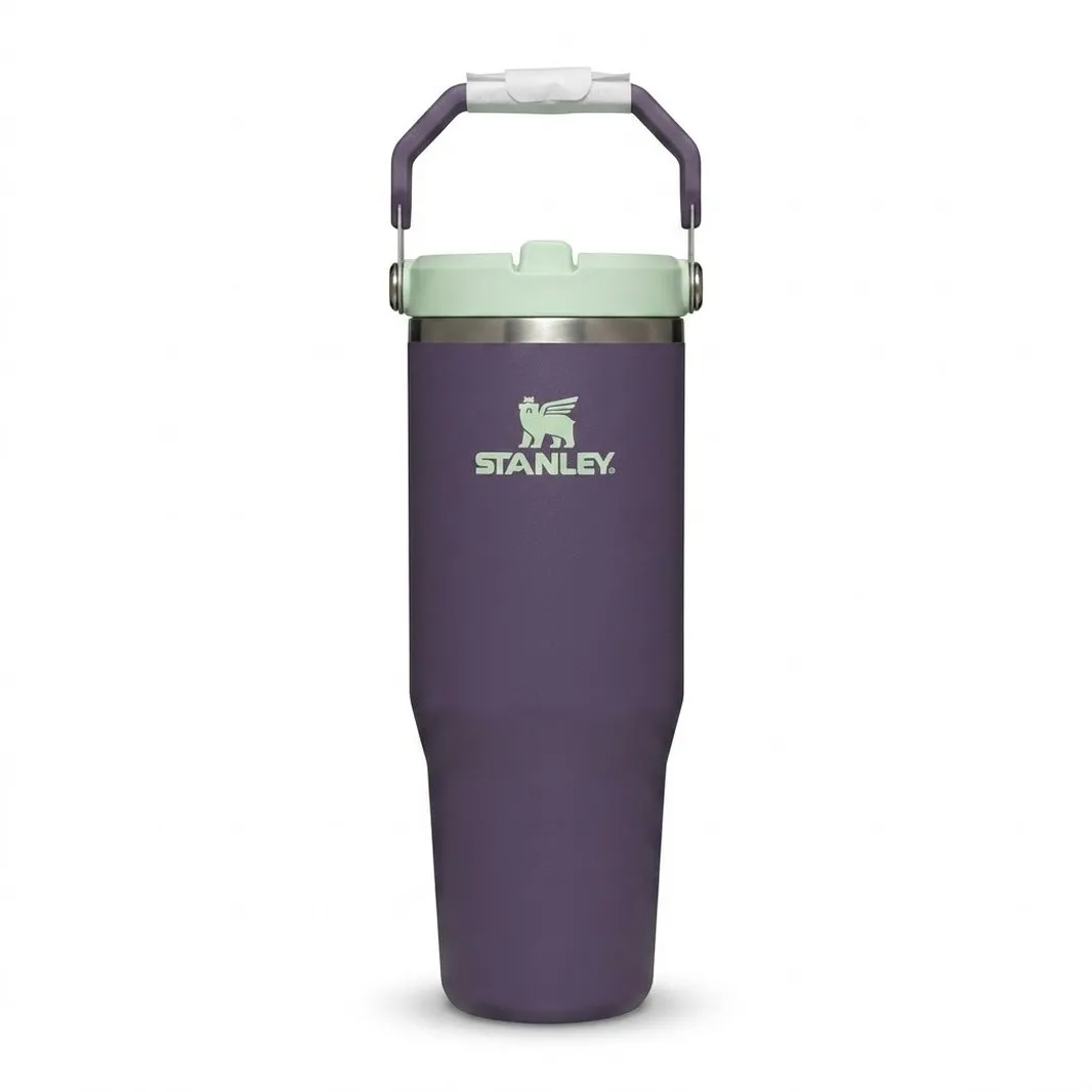 Buy Stanley The IceFlow™ Flip Straw Tumbler 30 Oz - Purple Umbra for running in Singapore - Running Lab SG