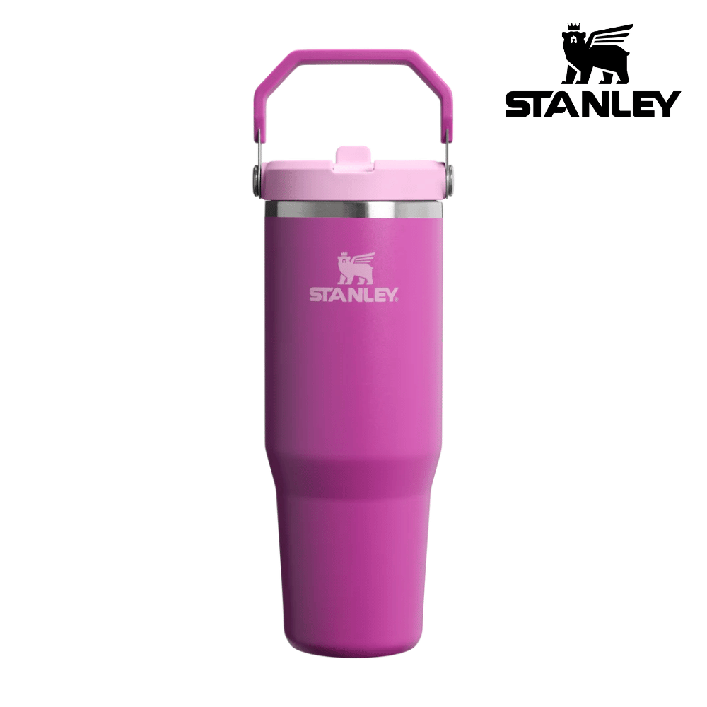 Buy Stanley IceFlow™ Flip Straw Tumbler 30 Oz - Dark Blossom for running in Singapore - Running Lab SG
