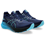 Shop Asics Performance Running Shoes in Singapore | Running Lab Nimbus Kayano GT2000 Novablast