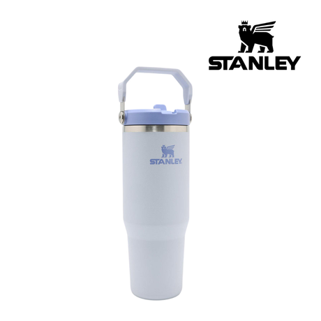 Buy Stanley The IceFlow™ Flip Straw Tumbler 30 Oz - Dew Drop for running in Singapore - Running Lab SG