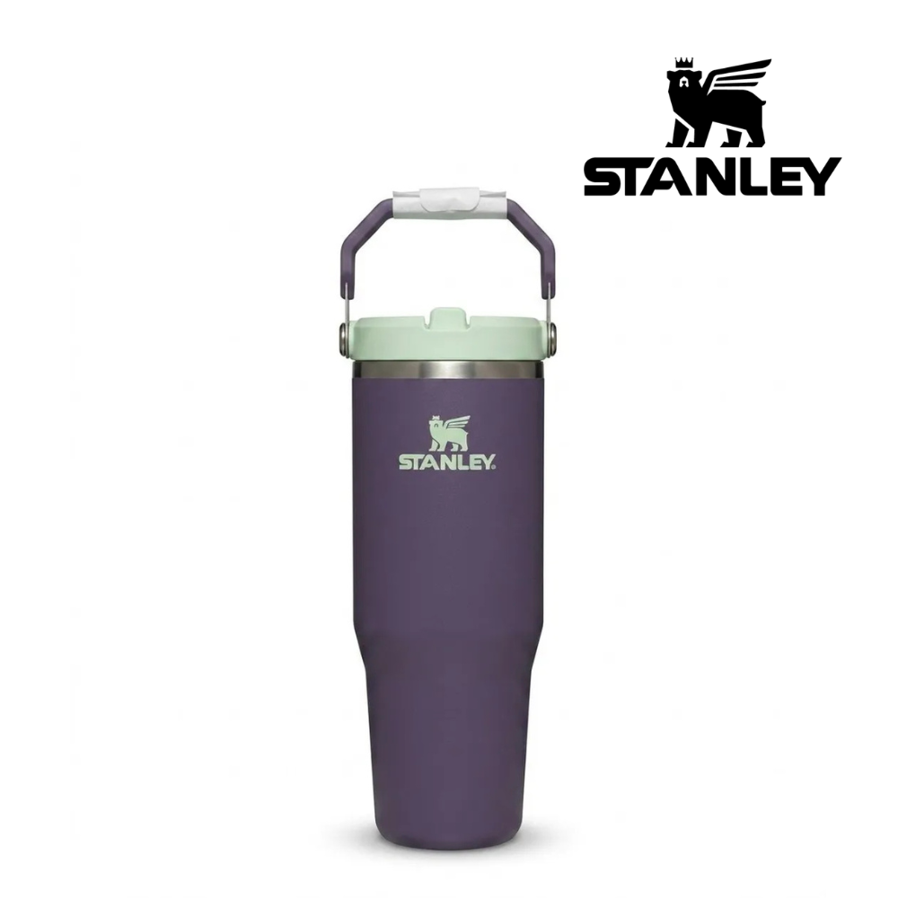Buy Stanley The IceFlow™ Flip Straw Tumbler 30 Oz - Purple Umbra for running in Singapore - Running Lab SG