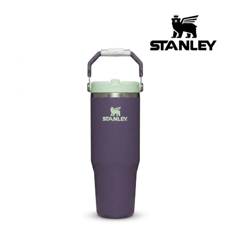 Buy Stanley The IceFlow™ Flip Straw Tumbler 30 Oz - Purple Umbra for running in Singapore - Running Lab SG