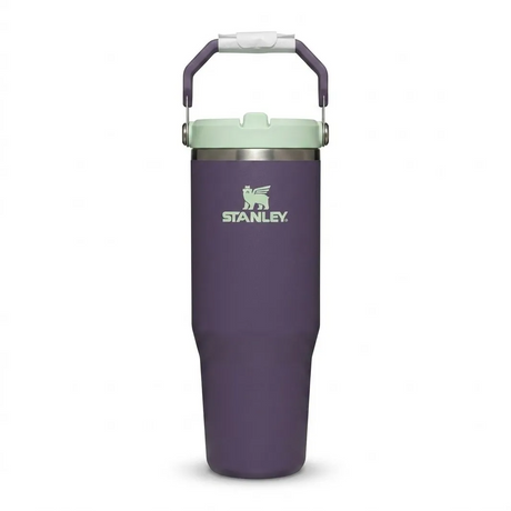 Buy Stanley The IceFlow™ Flip Straw Tumbler 30 Oz - Purple Umbra for running in Singapore - Running Lab SG