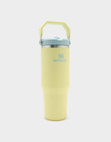 Buy Stanley The IceFlow™ Flip Straw Tumbler 30 Oz - Pomelo for running in Singapore - Running Lab SG
