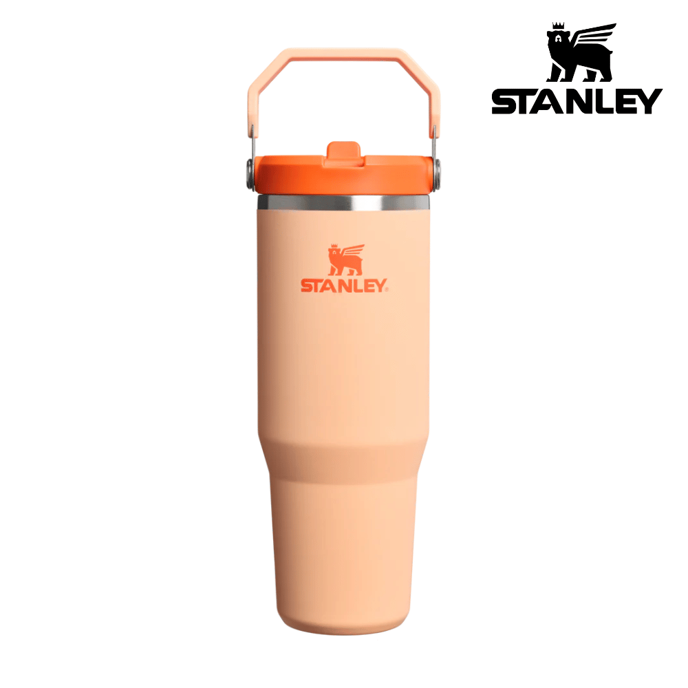 Buy Stanley The IceFlow™ Flip Straw Tumbler 30 Oz - Orange Sherbet for running in Singapore - Running Lab SG