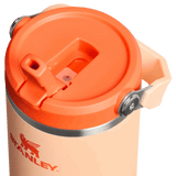 Buy Stanley The IceFlow™ Flip Straw Tumbler 30 Oz - Orange Sherbet for running in Singapore - Running Lab SG