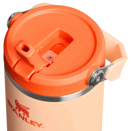 Buy Stanley The IceFlow™ Flip Straw Tumbler 30 Oz - Orange Sherbet for running in Singapore - Running Lab SG
