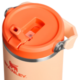 Buy Stanley The IceFlow™ Flip Straw Tumbler 30 Oz - Orange Sherbet for running in Singapore - Running Lab SG