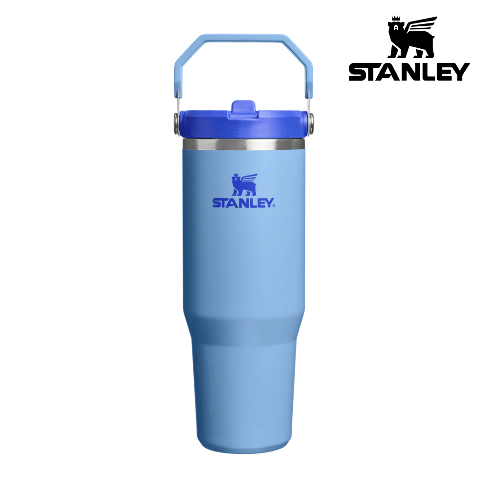 Buy Stanley The IceFlow™ Flip Straw Tumbler 30 Oz - Blue Sky for running in Singapore - Running Lab SG