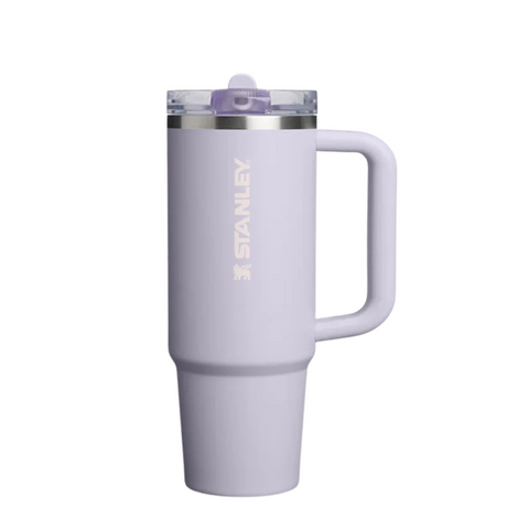 Buy Stanley The Quencher ProTour Flip Straw Tumbler 30 Oz - Purple Dust for running in Singapore - Running Lab SG